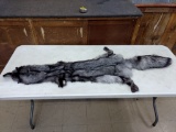 Indigo Ranch Fox Soft Tanned Pelt Huge Tail 66