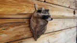 New Mount Raccoon In A Log Lifelike Piece! 10