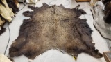 Soft Tanned Buffalo Robe About 78