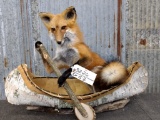 Full Body Mount Red Fox In Native American Crafted Birch Bark Canoe