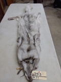 Ranch Blue Fox Soft Tanned Pelt 56