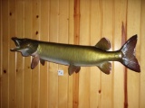 Real Skin Mount Muskie Over 36