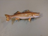 Competition Quality Walleye mount 19