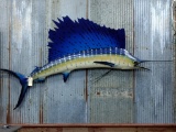 Full Body Mount Sail Fish Removable Dorsal Fin 104