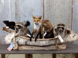 Noah's Ark