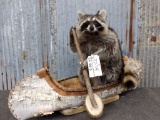 Full Body Mount Raccoon In Native American Crafted Birch Bark Canoe