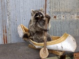 Full Body Mount Raccoon In Native American Crafted Birch Bark Canoe
