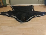 Huge 400 Pound Black Bear rug Closed mouth