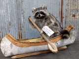 Full Body Mount Raccoon In Native American Crafted Birch Bark Canoe