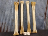 Set of 4 Giraffe Leg Bones 26