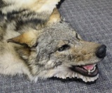 NICE BIG Wolf Rug Measures 80