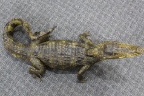 Full Body Mount Caiman Measures 53
