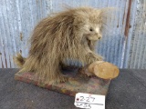 Full Body Mount Porcupine overall dimensions 24