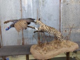 Full Body Mount African Serval Cat Chasing A Flying Guineafowl On Light Weight Styrofoam Base