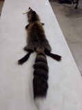 Cross Fox Soft Tanned Pelt 50