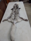 Ranch Blue Fox Soft Tanned Pelt 61
