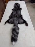Ranch Silver Fox Soft Tanned Pelt 62