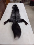 Silver Fox Soft Tanned Pelt Huge Bushy Tail 59