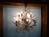 Beautiful Whitetail Antler Chandelier Brand New Piece