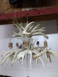 Whitetail Antler Chandelier With 8 Lights