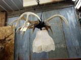 Hanging Deer Antler Lamp about 26