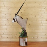 African Gemsbok Pedestal Mount Head turned to the right slightly