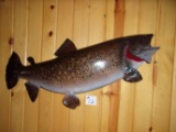 Big Real Skin Mount 35.5