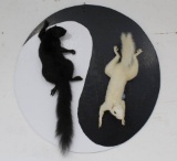 Black & White Squirrels New Mount On a 24