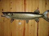 Real Skin Mount 44