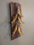 5 Perch On Stringer Real Skin Mount 32