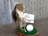 Golfing Squirrel New Mount 8