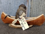 Full Body Mount Muskrat In Birch Bark Canoe New Mount 18