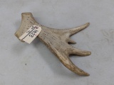 Moose Antler Cribbage Board