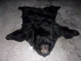 Black Bear rug Closed Mouth Nice Fur 58