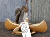 Squirrel In A Birch Bark Canoe New Mount 9