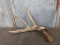 Big 3 point Mule Deer Shed 15