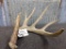 70 Class Whitetail Shed with extras