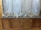 Group Of 7 Big Whitetail Sheds & Cuts All Self Standing