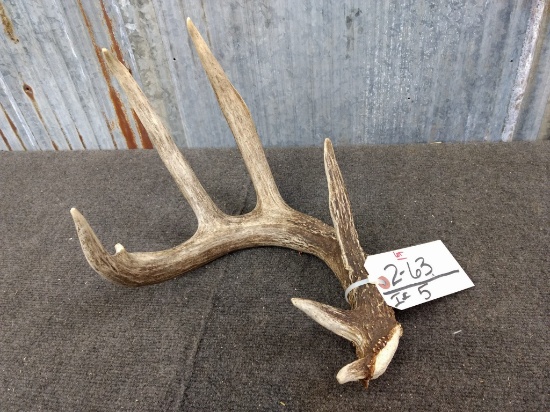 Main Frame 4 point Whitetail Shed with extras