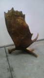 10lb Self Standing Moose Shed 