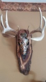 Hand Painted whitetail Skull 