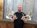 Big Heavy Whitetail Sheds Mass Throughout right 100