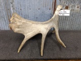 Self Standing Moose Shed With Kickstand 8lbs 