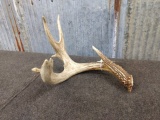 Main Frame 4 Point Whitetail Shed With Extras 