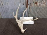 Main Frame 4 Point Whitetail Shed With 