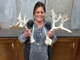 Nontypical Whitetail Sheds