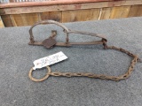 Vintage Newhouse Single Long Spring Trap Cast Iron Jaws With Teeth & Flat Link Chain