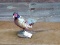 Full Body Mount Standing Ringneck Pheasant 29