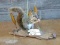 Full Body Mount Squirrel On Driftwood Habitat Base