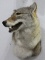 Wall pedestal coyote shoulder mount,